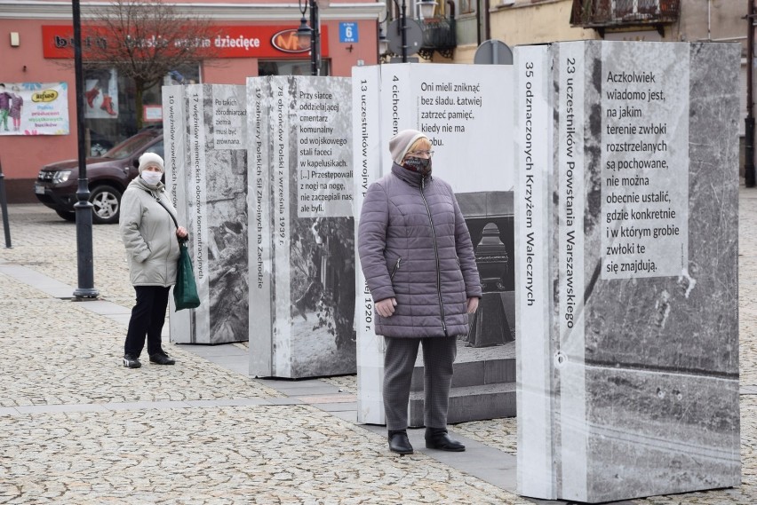 Dzień Kobiet w Skierniewicach. W Rynku na panie czekał poczęstunek i kwiaty [ZDJĘCIA]