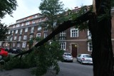 Burza w Poznaniu: Wiatr hula łamie drzewa [ZDJĘCIA]