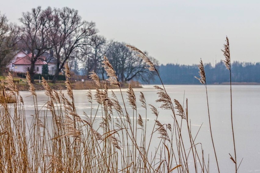 Czy będzie jeszcze zima w Złotowie? Na dworze siąpi deszcz, a po śniegu zostało tylko wspomnienie. Obejrzyjcie zimę na zdjęciach