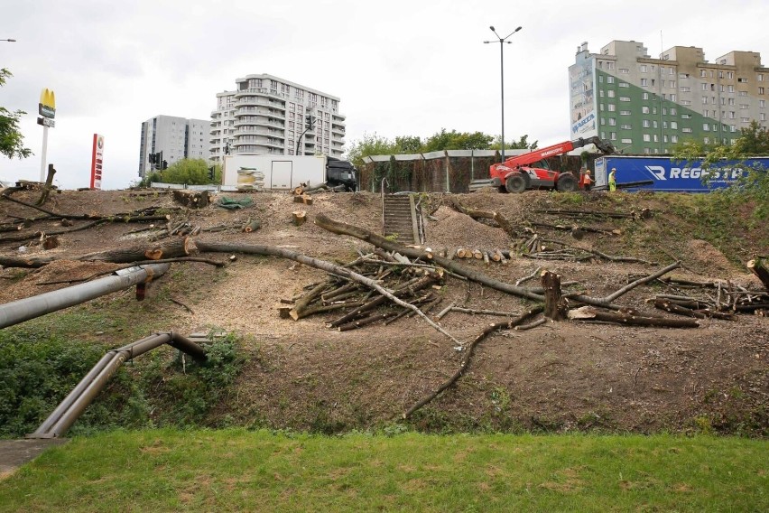 Wycinka drzew pod budowę tramwaju do Górki Narodowej