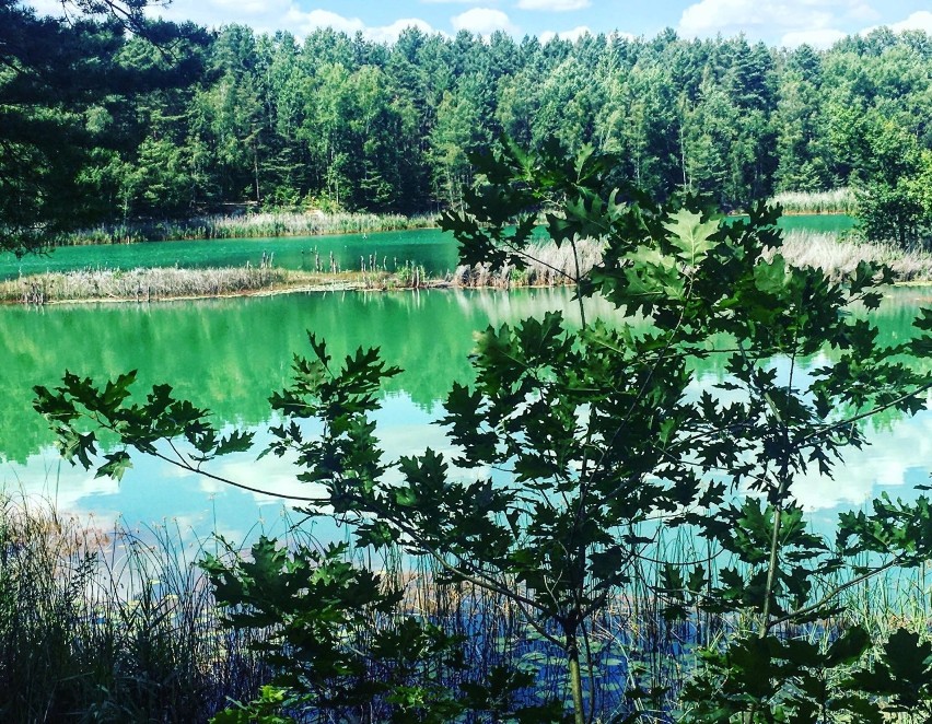 Łuk Mużakowa, czyli niesamowite pojezierze kolorowych jezior. Zobacz zdjęcia!