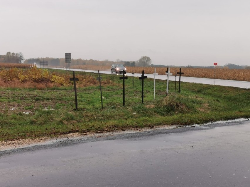 Kilkadziesiąt krzyży stanęło przy skrzyżowaniu w gminie Rusiec. Po co je ustawiono?