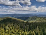 Wspaniały widok na Tatry i Pieniny, a wszędzie wokół cudowne Gorce. Gorc – nie taki łatwy do zdobycia [ZDJĘCIA]