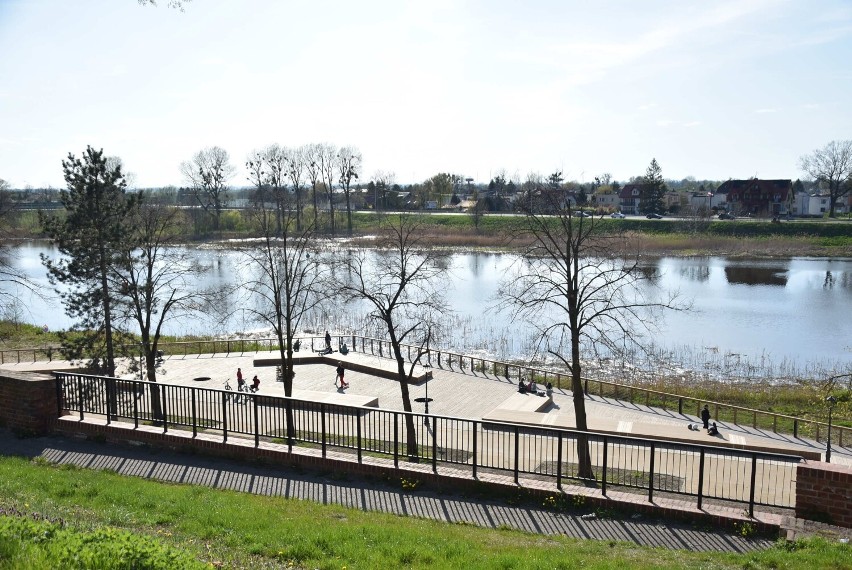 Malbork. Bulwar nad Nogatem wkrótce będzie bardziej zielony. Da się tam latem wznieść legalnie toast z przyjaciółmi? 