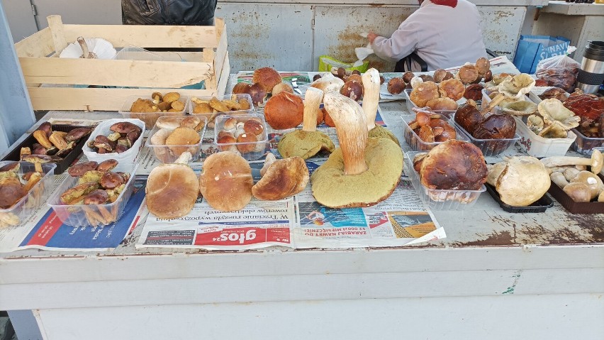 Wysyp grzybów na Placu Targowym Gazaris w Bochni