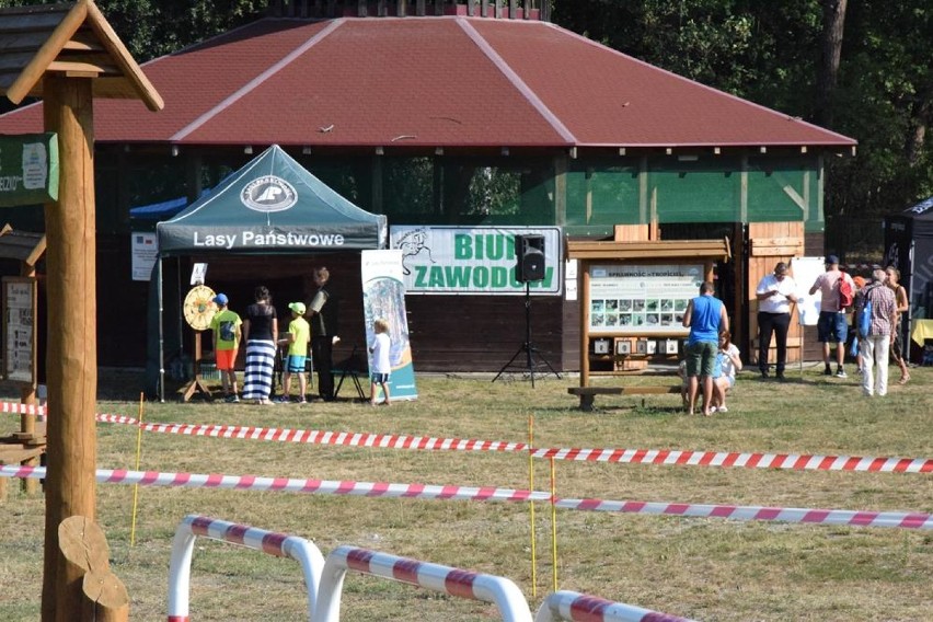 Cross Sierakowski - biegi dziecięco-młodzieżowe