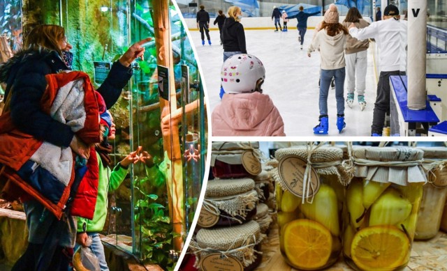 Świątecznie przez cały weekend będzie na jarmarkach w centrum Bydgoszczy: O! Choinka - Ratujemy Święta!, a także niedzielnym Frymarku bydgoskim. Spragnionych kultury na spektakl zaprasza Teatr Polski w Bydgoszczy, Filharmonia Pomorska oraz Fundacja Muzyka u Źródeł na koncerty, a MCK na wielowymiarowe spotkanie z kulturą Białorusi - wszystko na żywo online. Z kolei Teatr Kameralny przygotował słuchowisko - premiera na radiowej antenie! Do siebie zaprasza też Myślęcinek i Ostromecko.