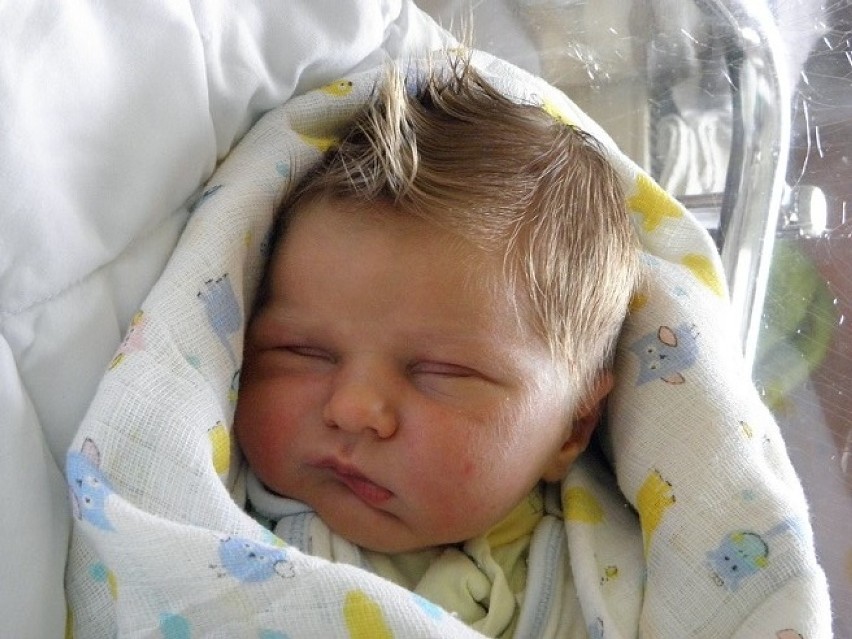 Mateusz Pistelok, syn Marioli i Damiana, urodził się 4 maja...