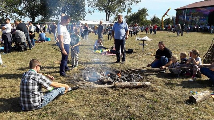 Gniezno: Święto Latawca [FOTO]