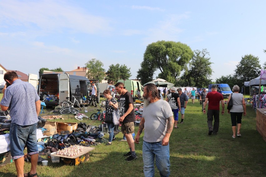 Na jarmark w Krzywosądzy, gmina Dobre, zjeżdżają hodowcy i...