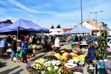 Za kilka dni uroczystość Wszystkich Świętych. Na bazarach coraz więcej chryzantem. Można wybierać w kolorach, wielkości i cenach