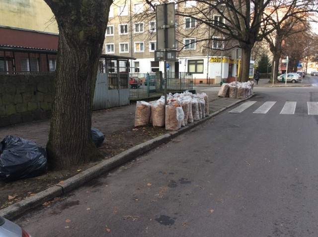 Miasto oczyszcza miejsca, w których zalęgają worki z liśćmi. ...