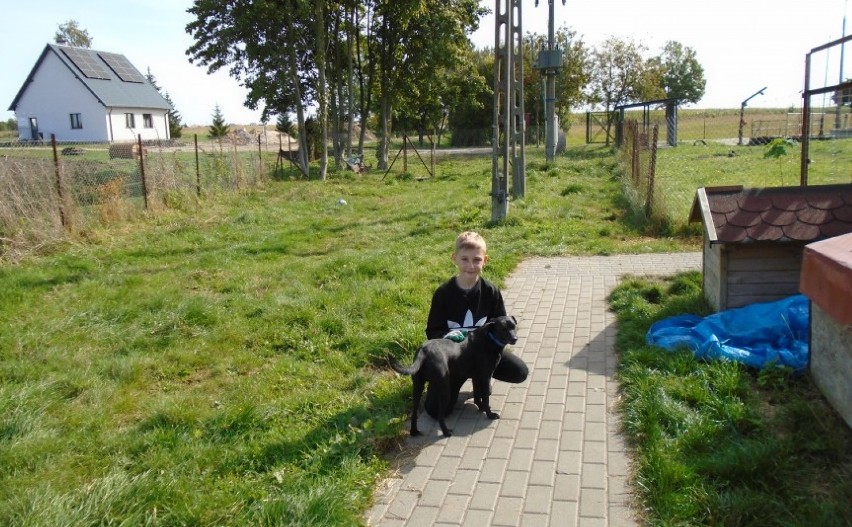 Podopieczni tucholskiej świetlicy Przyjazny Kąt poznają, co to empatia