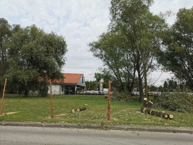 Ruszyła wycinka drzew przy ul. Hernes w Chrzanowie