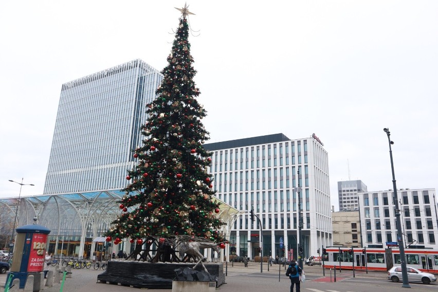 Największe łódzkie drzewko rozbłyśnie razem ze świąteczna iluminacją na ul. Piotrkowskiej 