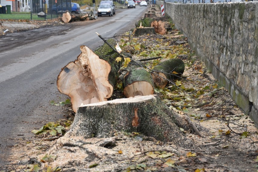 Wycięte drzewa przy cmentarzu na ul. Zuzanny w Sosnowcu