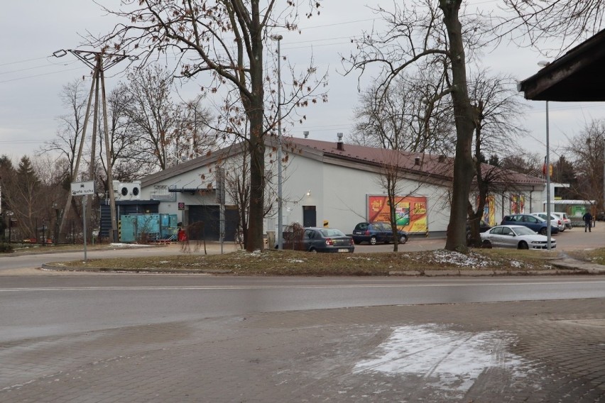 Trawniki budzą się z zimowego snu? Zobacz zdjęcia z uroczej miejscowości położonej w powiecie świdnickim