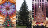 Krakowianie mają choinkę pod kurią, a inni? Zobacz najpiękniejsze drzewka bożonarodzeniowe z całego świata