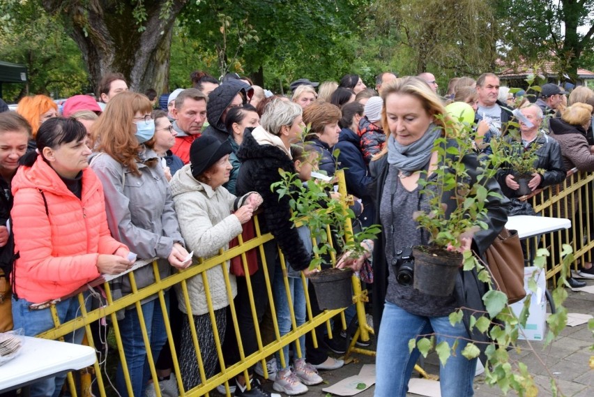 Olbrzymi sukces akcji "Drzewka za surowce" w Końskich. Tysiące osób wymieniły baterie i puste butelki na sadzonki [WIDEO, ZDJĘCIA]