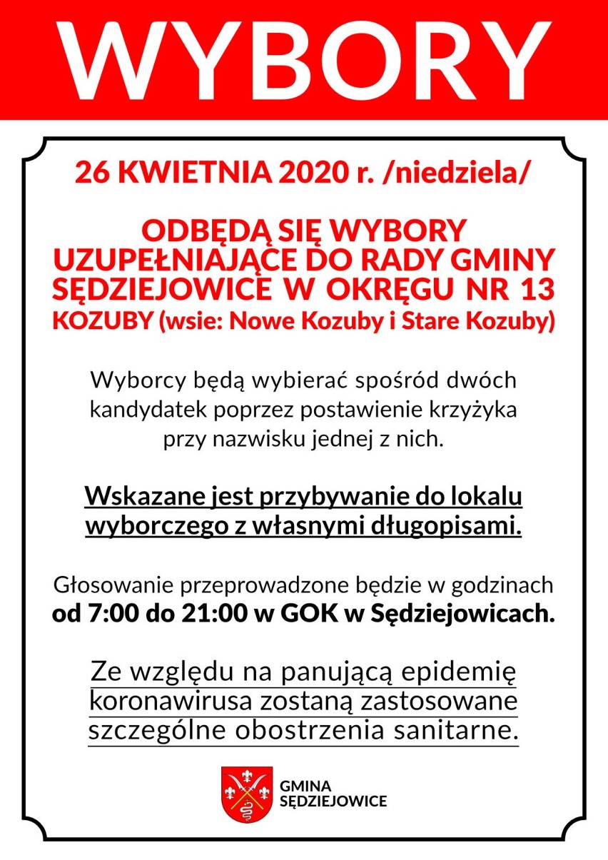 Wybory uzupełniające w gminie Sędziejowice. Głosowanie mimo epidemii [zdjęcia]