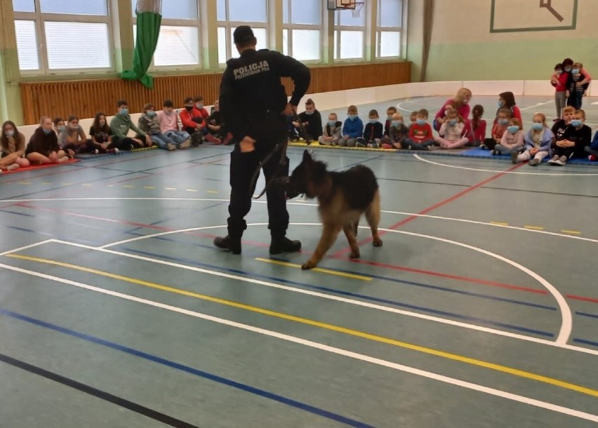 Hill, pies policyjny, na pokazie dla uczniów w Lubiewie