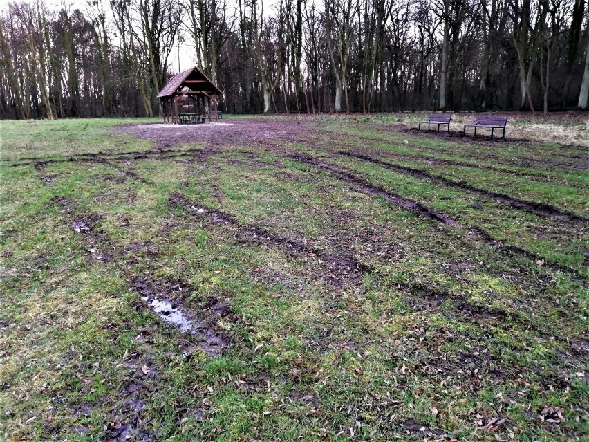 Malbork. Miejsce na pikniki w parku rozjeżdżane przez quady [ZDJĘCIA]. Magistrat zapowiada rozbudowę monitoringu