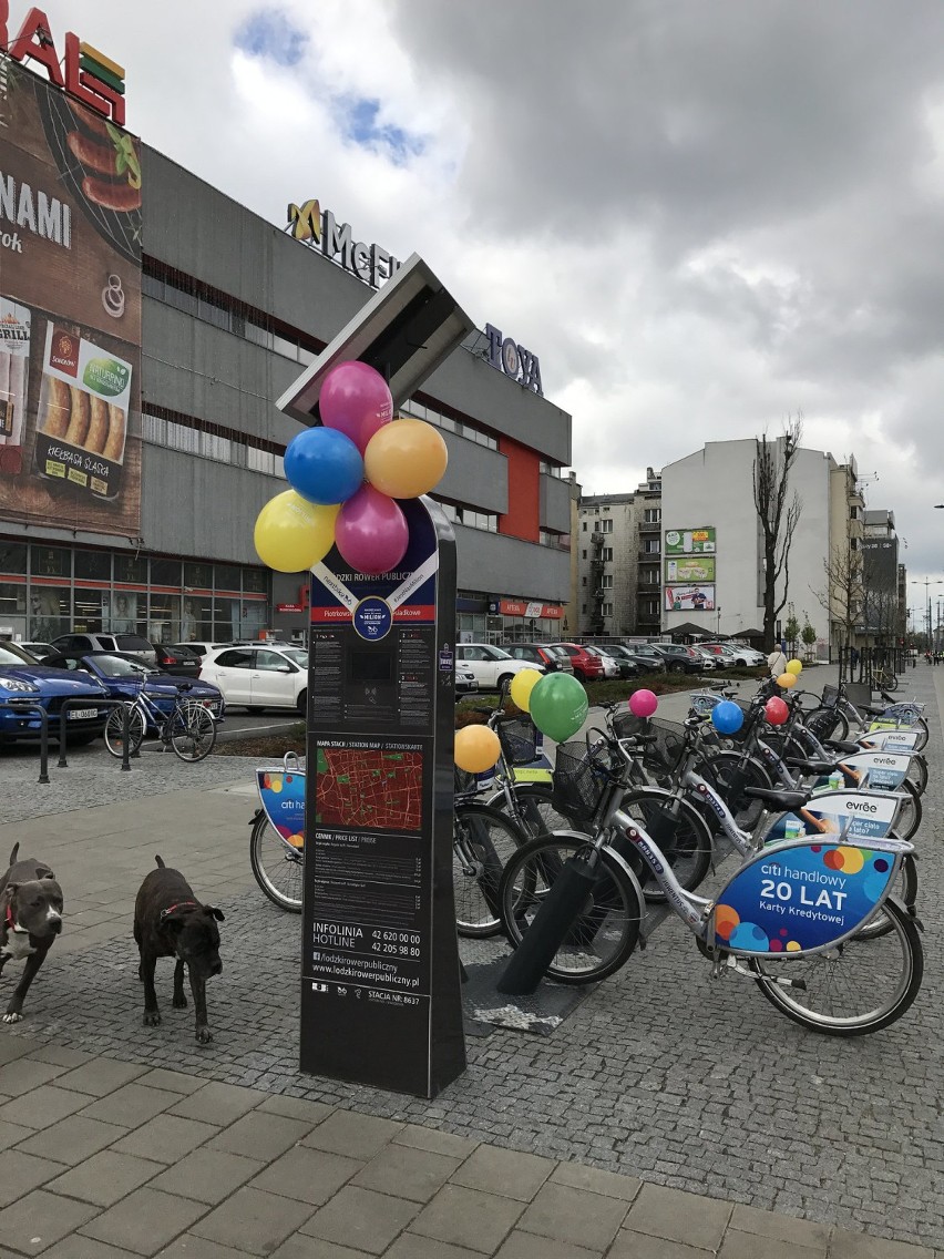 Typowy użytkownik rowerów miejskich ma 32 lata i nazywa się Piotr