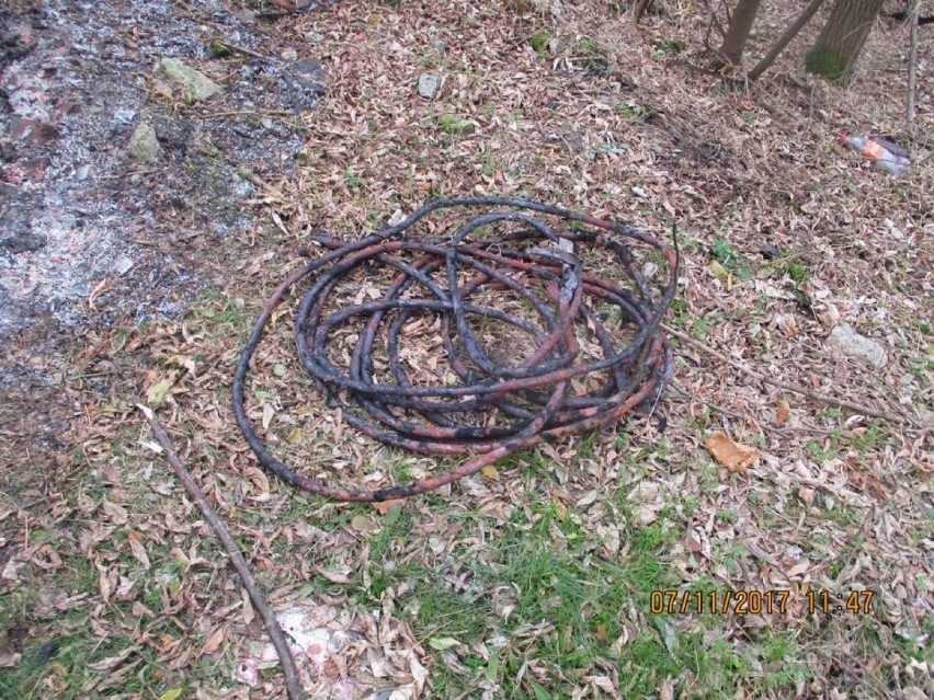 Eko patrol: Opalał kable na Prostej w Rybniku