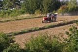 Lubelskie. Używane ciągniki rolnicze. Te traktory kupisz do 20 tys. zł. Zobacz najnowsze ogłoszenia na OLX