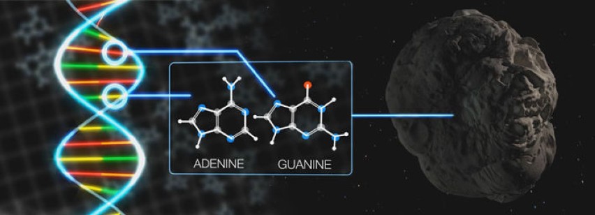 W meteorycie znaleziono składniki DNA: adeninę i guaninę