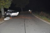Śmiertelny wypadek koło Iławy: pijany kierowca uderzył w drzewo, zginął pasażer [zdjęcia]