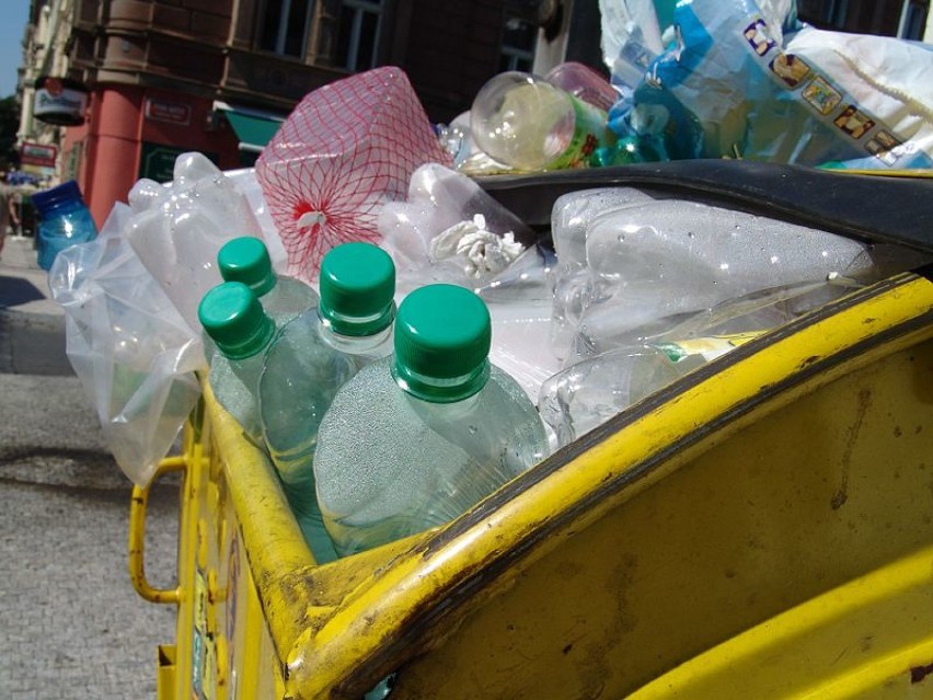 Polacy działają z imPETem i zmieniają nawyki. Co się dzieje z butelkami PET po recyklingu?