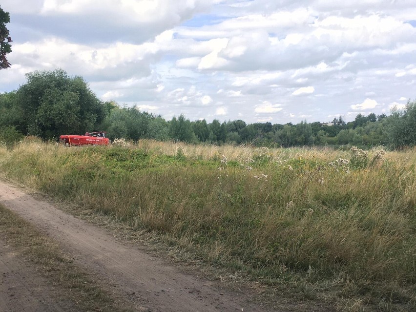 Morderstwo w Pleszewie. Trwają poszukiwania narzędzi zbrodni