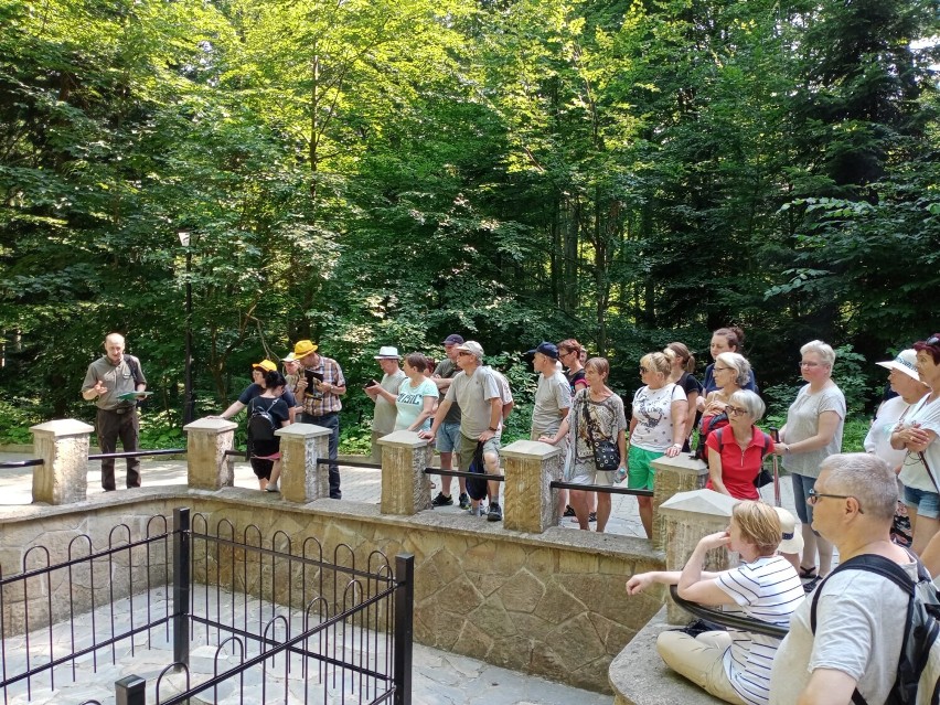 Wypoczywający w Iwoniczu-Zdroju mogą poznać ciekawostki iwonickich lasów. Nadleśnictwo organizuje spacery z leśnikami w roli przewodników
