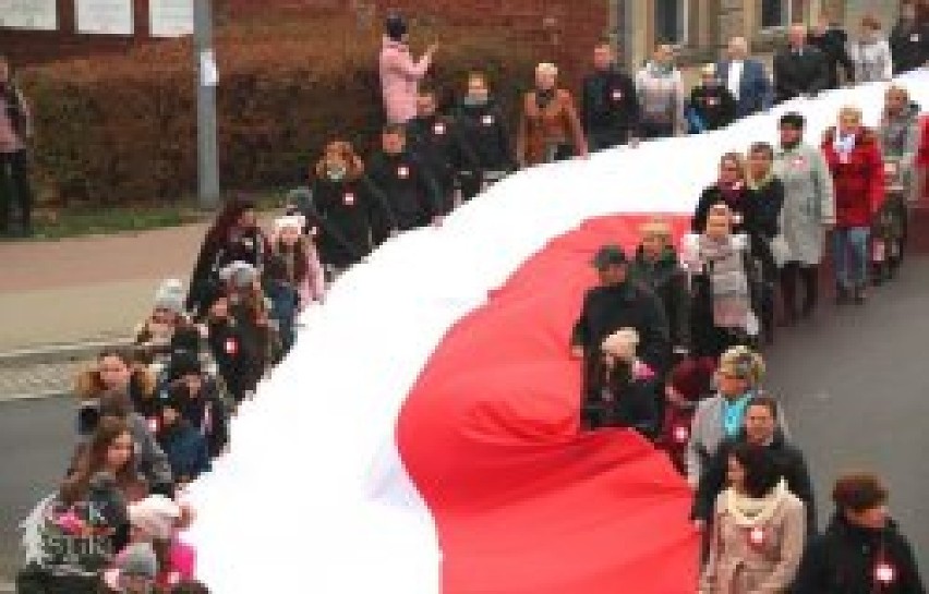 W ubiegłym roku 11 listopada stumetrową flagę ponieśli...