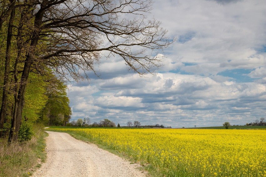 Niezwykłe fotografie powiatu świdnickiego. Przyznajcie, że to jeden z piękniejszych powiatów. Zobacz zdjęcia!