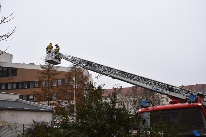 Uwięziony ptak na dachu budynku. Na pomoc ruszyli oleśniccy strażacy