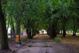 Zbąszyń: Miejski park w sierpniowym deszczu [ZDJĘCIA]