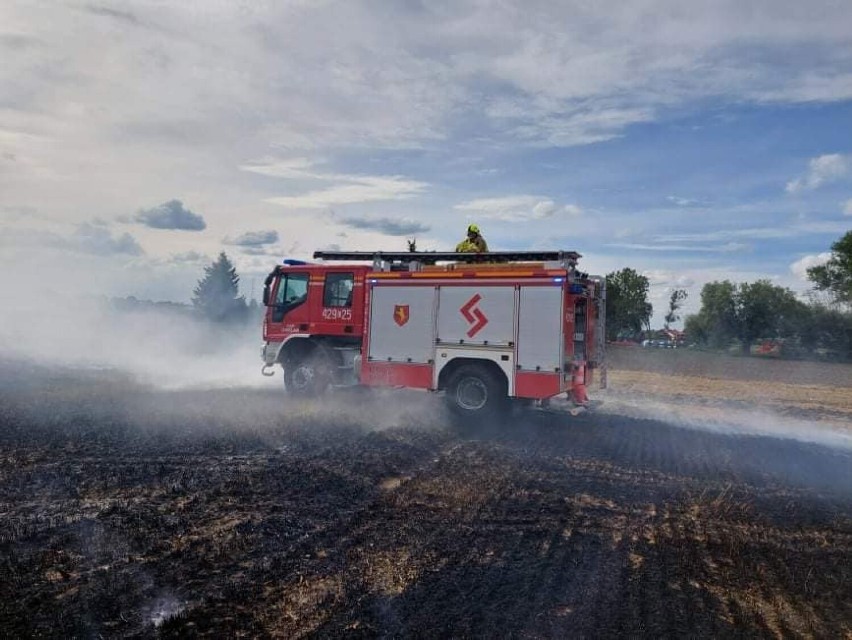 Strażacy i rolnicy walczyli z żywiołem w Grzybnie