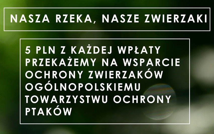 Wisłaki - modowy projekt wspierający ekologię