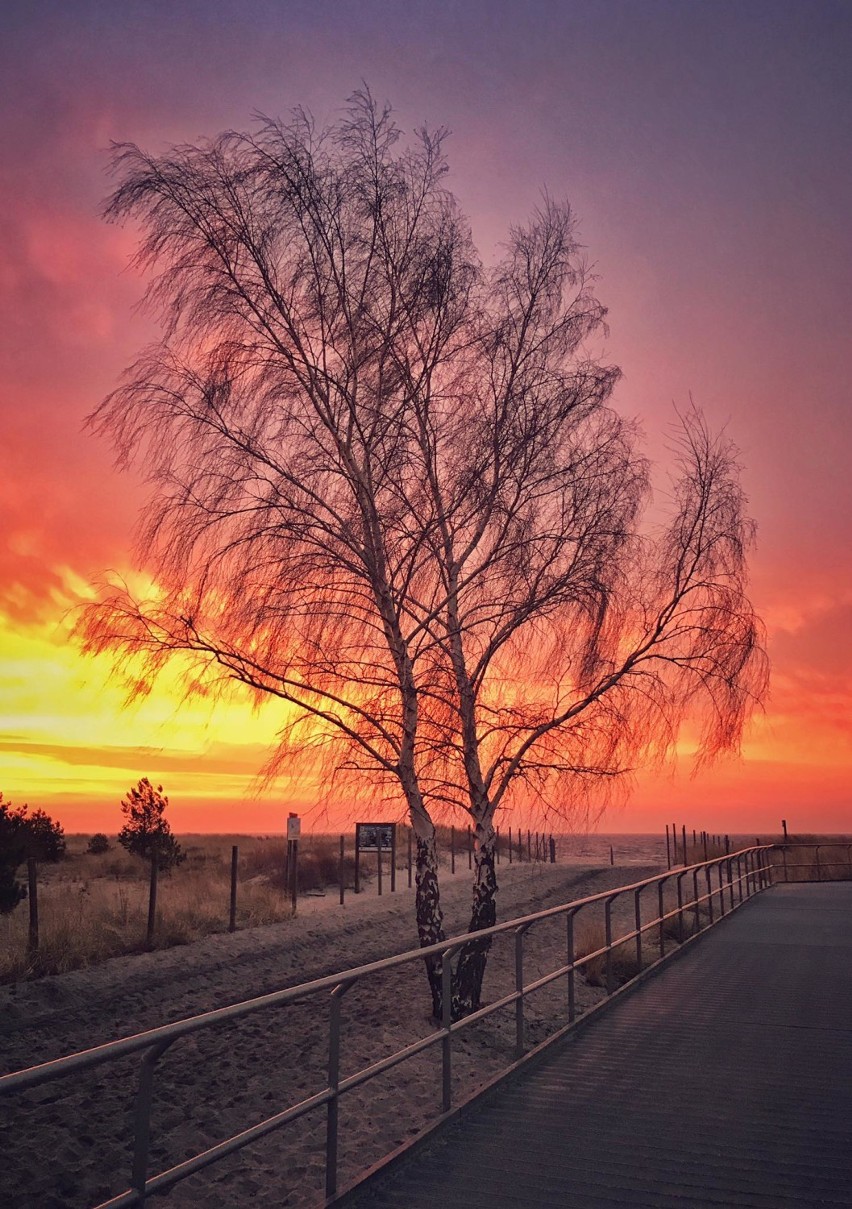 Foto powiat pucki: wschód słońca w Helu