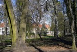 Piękny park Sołacki w Poznaniu zachęca do spacerów. Jak wygląda w wiosennej odsłonie? Zobacz zdjęcia!