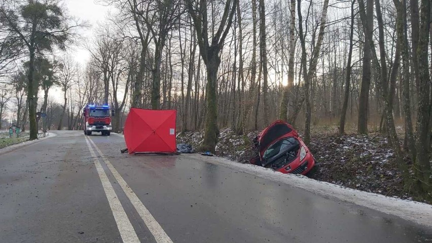 Tragedia na drodze. Śmiertelny wypadek na drodze między Elblągiem i Młynarami