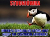 Sezon studniówkowy w pełni. Zobacz najlepsze memy studniówkowe!