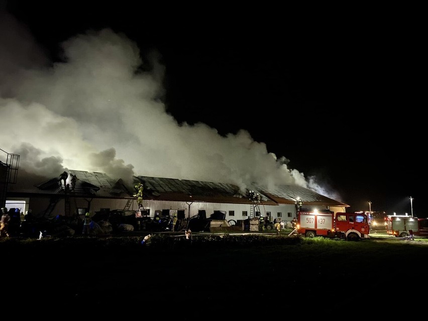 Przeździecko-Mroczki. Duży pożar chlewni w gminie Zambrów. 16 zastępów walczyło z ogniem. Jedna osoba ranna