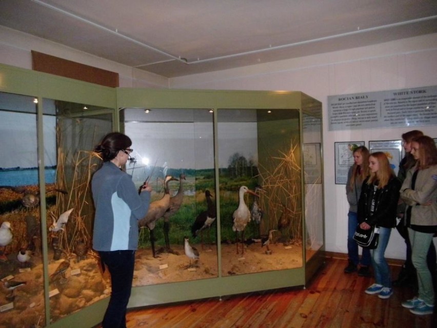 Warsztaty ornitologiczne w Muzeum Przyrody w Olsztynie