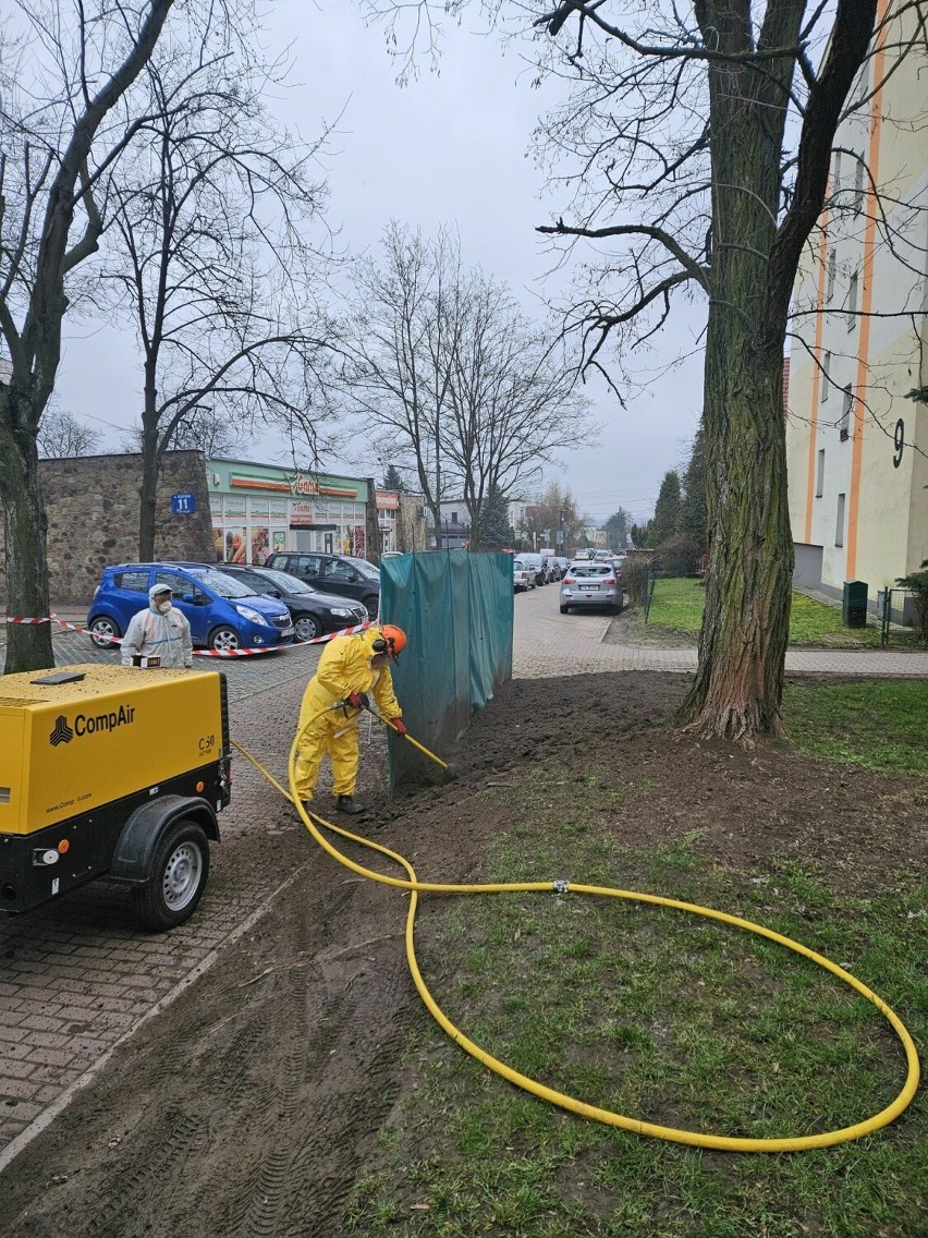 Przy ulicy Wawrzyńskiej w Kielc uratowano korzenie drzew...