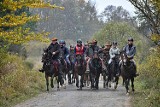 Sceny jak z westernu! Koński redyk w Regietowie. Tabun koni przebiegł przez wieś. Hucuły wróciły z letnich pastwisk