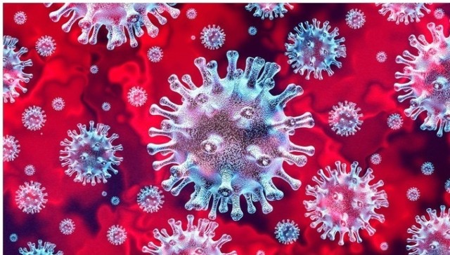 Na mapie zakażeń koronawirusem, opublikowanej na stronie Ministerstwa Zdrowia, pojawiła się informacja, że stwierdzono jeden przypadek zakażenia wirusem SARS-CoV-2. Powiatowy Stacja Sanitarno-Epidemiologiczna w Rawie Mazowieckiej dementuje tę informację.