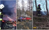 Pożar na Chełmcu w Wałbrzychu. Strażacy i turyści bronili lasu i walczyli z płonącymi trawami!